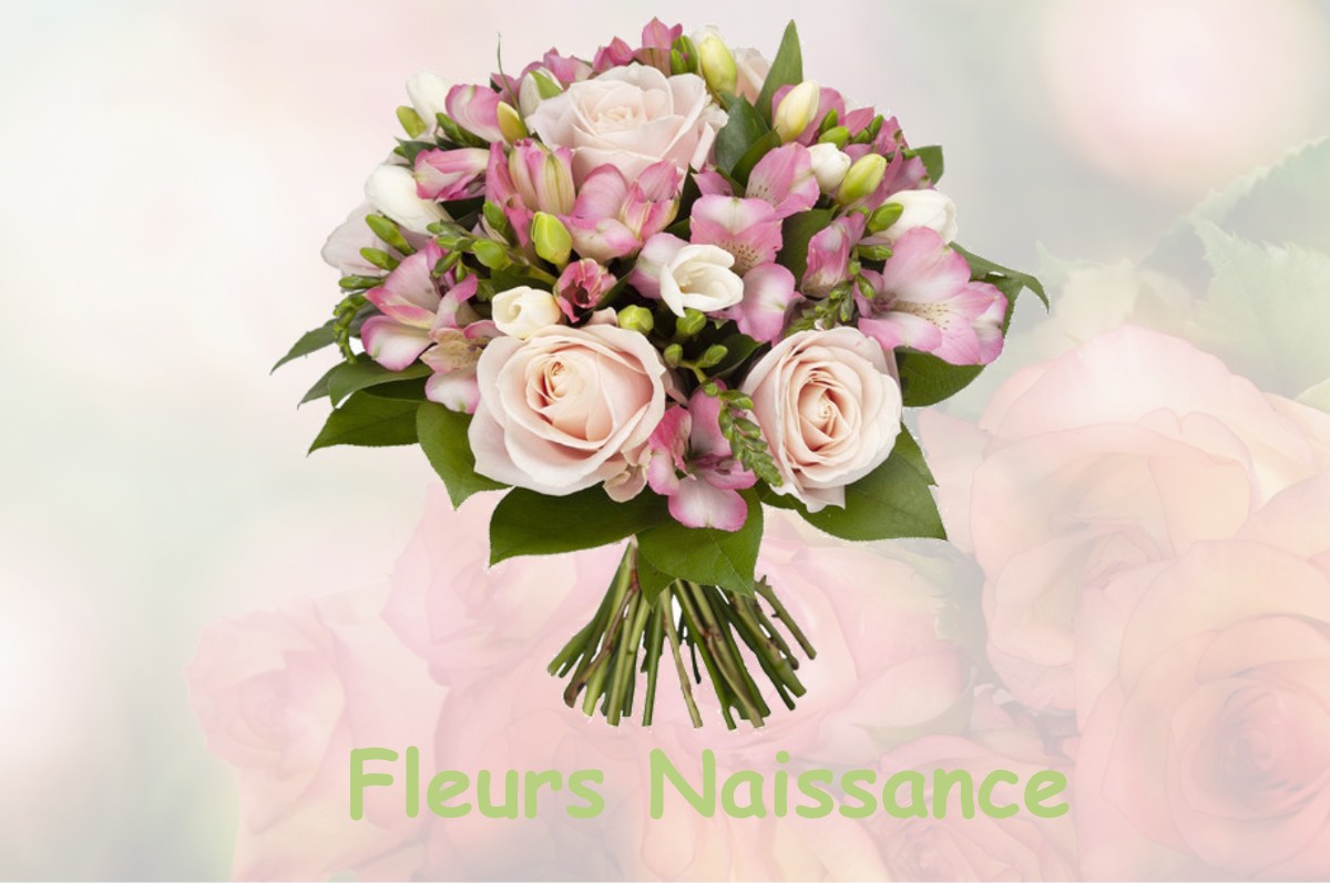 fleurs naissance CASTELNAU-SUR-GUPIE