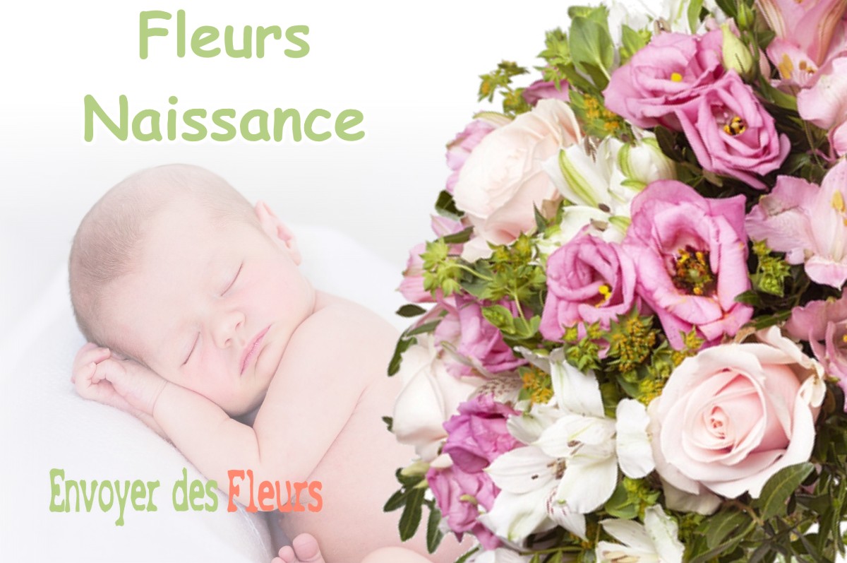 lIVRAISON FLEURS NAISSANCE à CASTELNAU-SUR-GUPIE